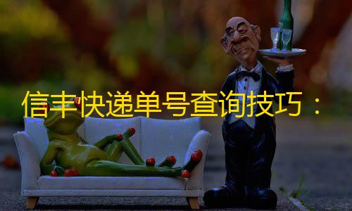 美化包下载免费信丰快递单号查询技巧：如何通过官网快速追踪包裹动态
